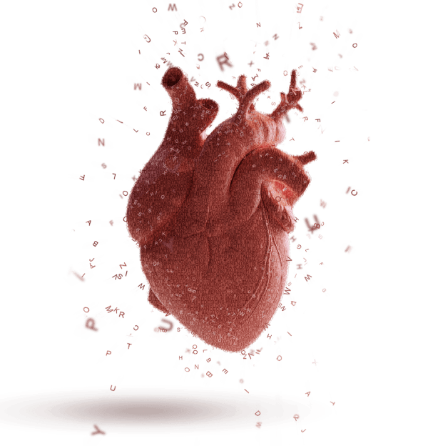the-fool-immagine-cuore-azienda-mobile-min copia